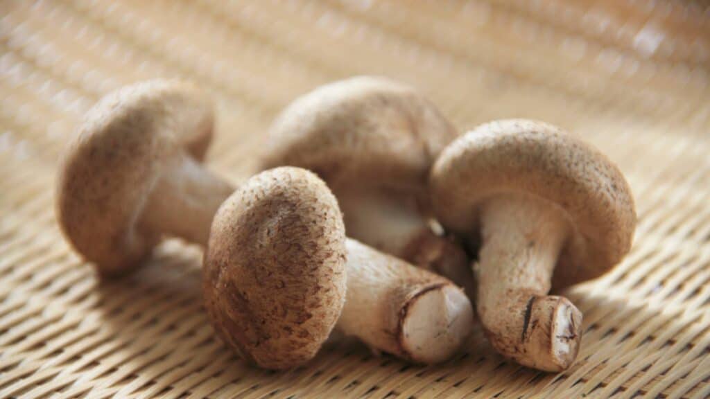 Top 8 healthy Japanese food Shiitake mushrooms