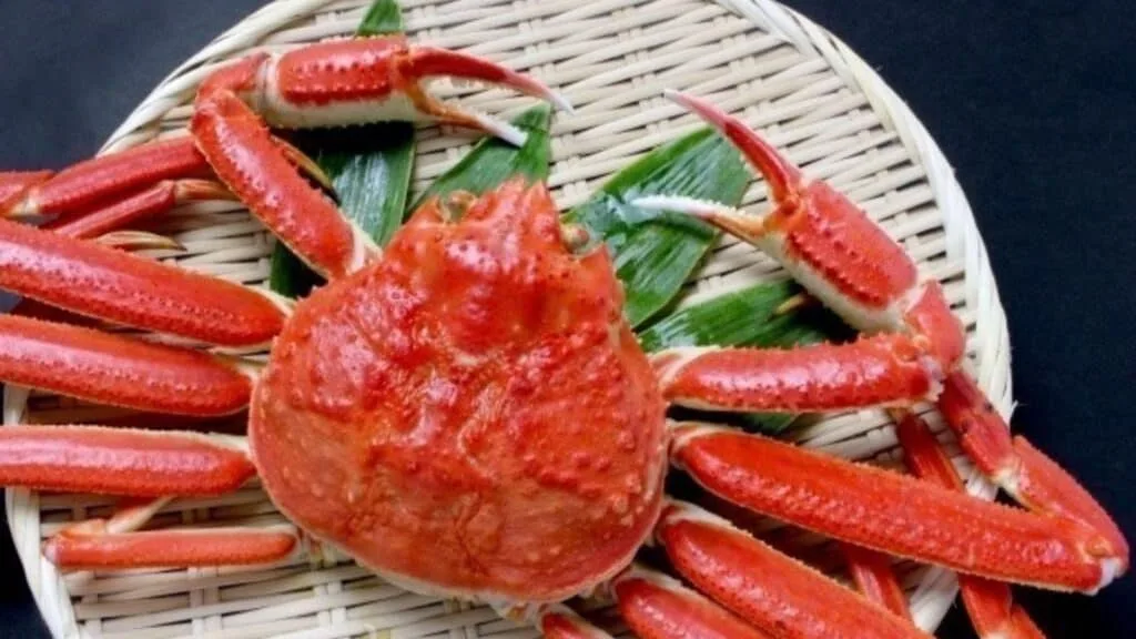 Travel in Hokkaido Crab