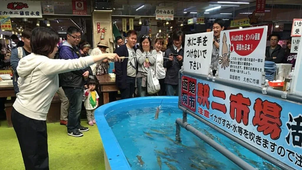 Travel in Hokkaido Fishing squid in Hakodate