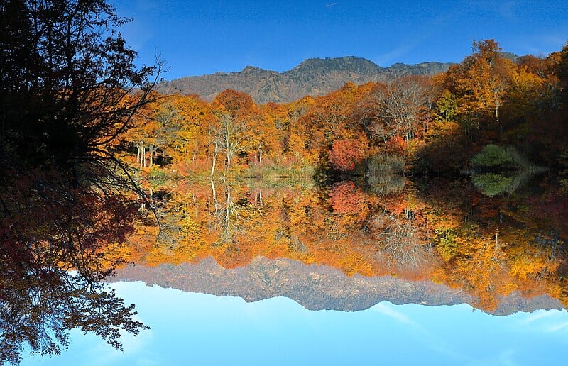 7 Exciting Ways to Enjoy Autumn in Japan: Autumn Leaves, Food, and Festivals