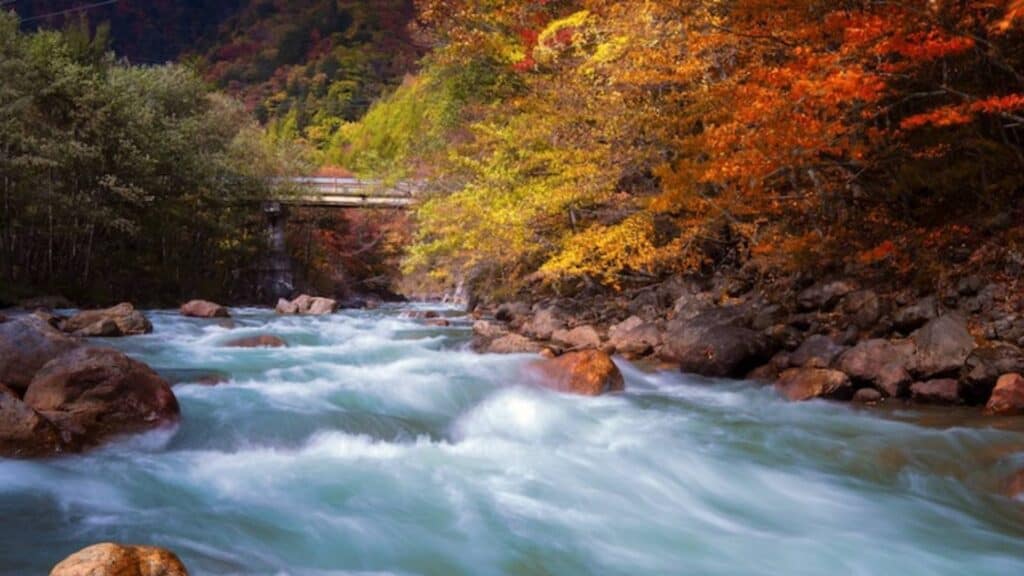 Ways to Enjoy Autumn in Japan View the Koyo, or the Changing of the Leaves