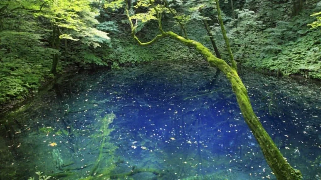 What to do in Aomori Shirakami Sanchi