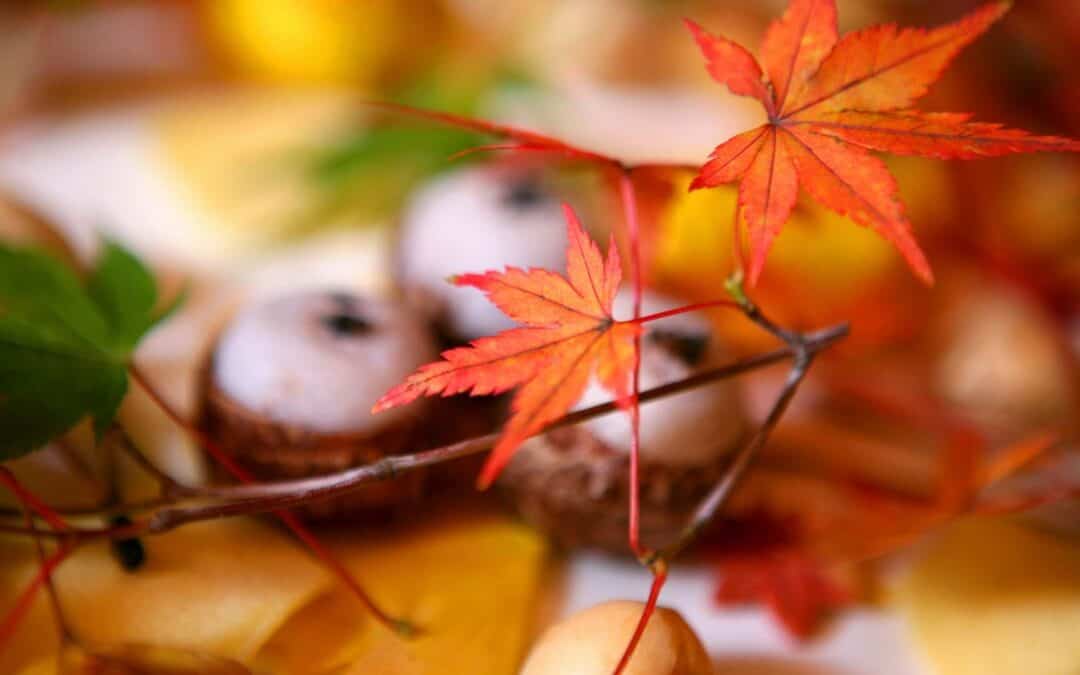 What to eat in Autumn Japanese food