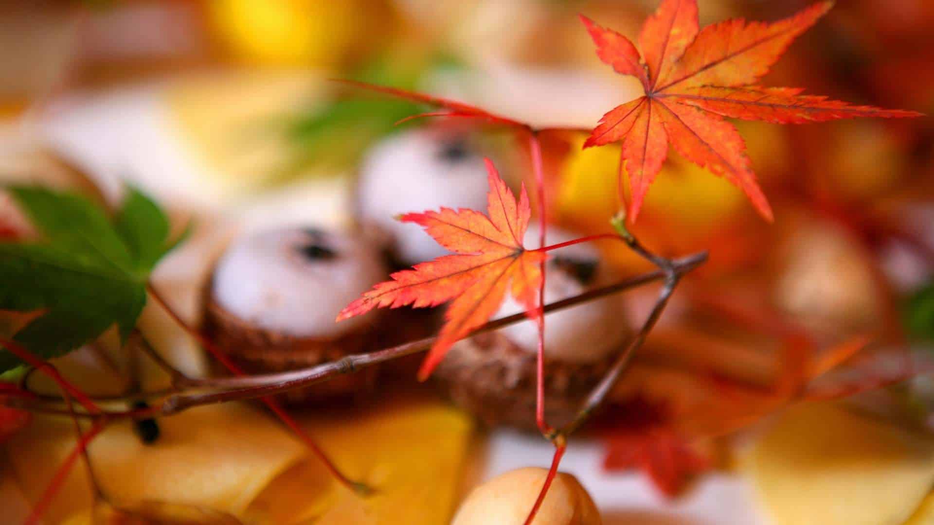 What to eat in Autumn Japanese food