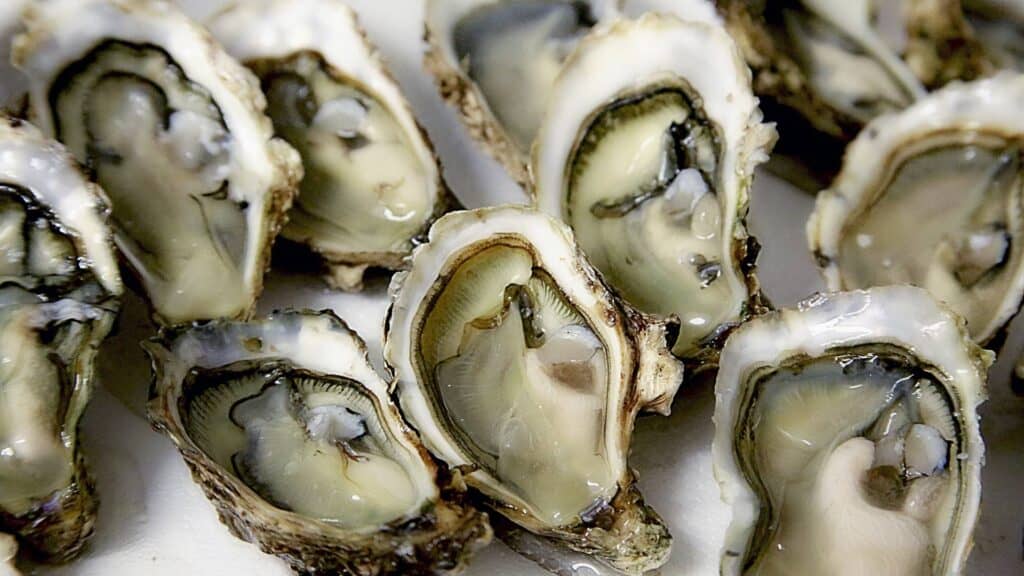 What to eat in winter in Japan Oysters