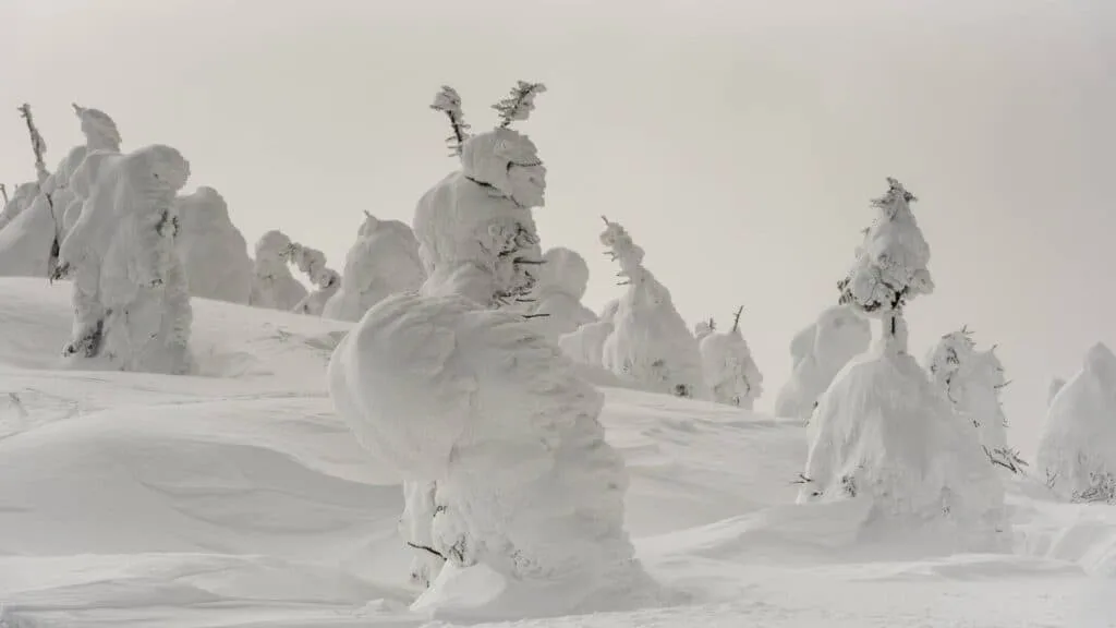 Winter festivals in Japan Zao snow monster festival