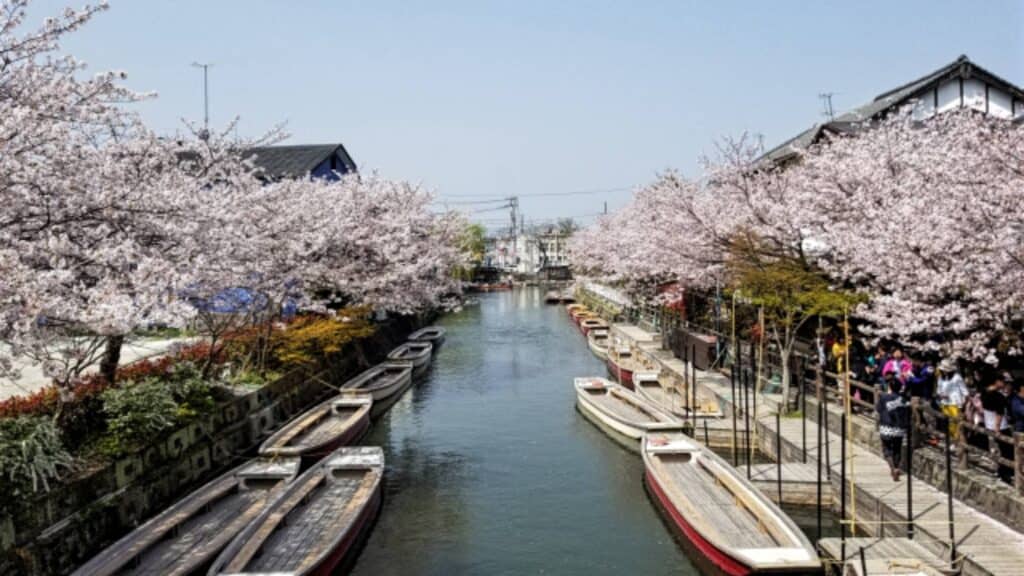 Top 10 underrated places to visit in Japan Yanagawa