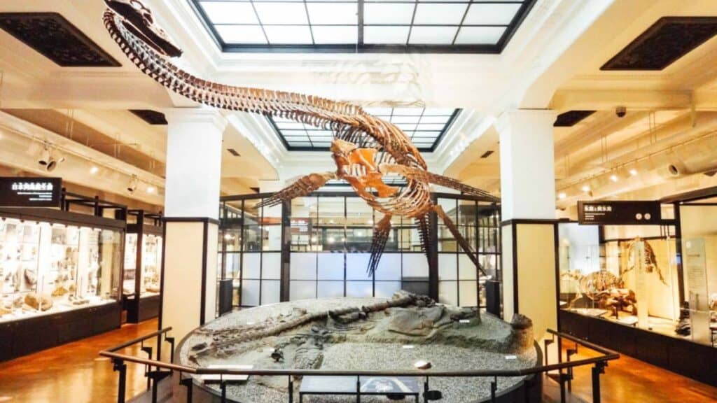 Top 8 underrated museums in Tokyo National Museum of Nature and Science