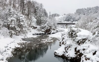 Top 12 Places to Visit in Winter in Japan: Snowy Wonders, Festivals & Onsen