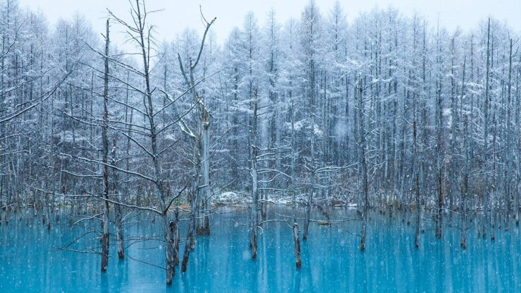 Where to visit in winter in Japan Biei Town Blue Pond _ Shirahige Waterfall