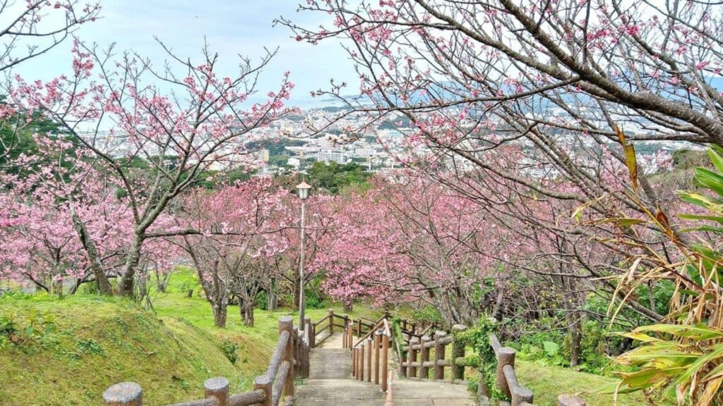 Where to visit in winter in Japan Nago