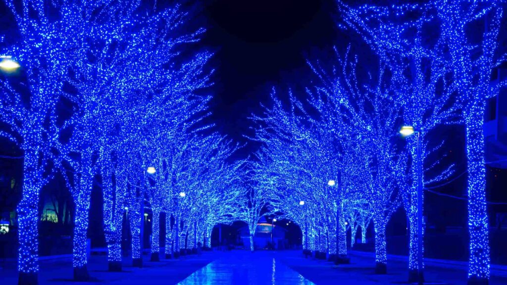 17 Illuminations in Tokyo Blue Cave SHIBUYA 2022 2