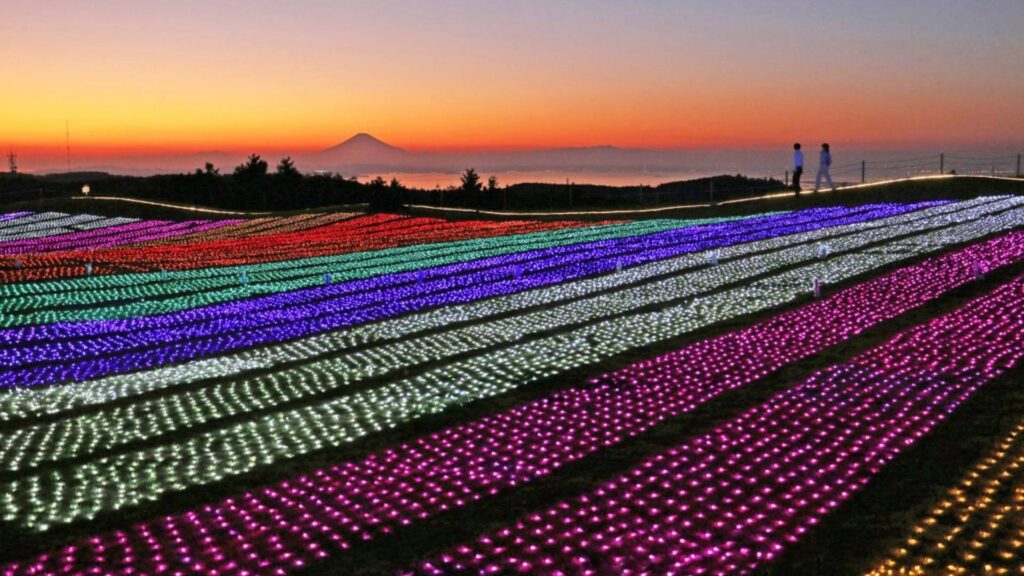 23 Illumination day trips from Tokyo Mother Farm