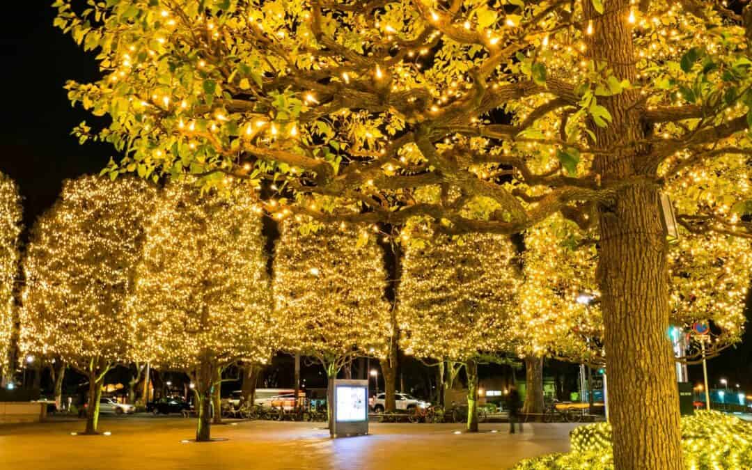 8 Illuminations in Tokyo & around Tokyo to visit in 2021