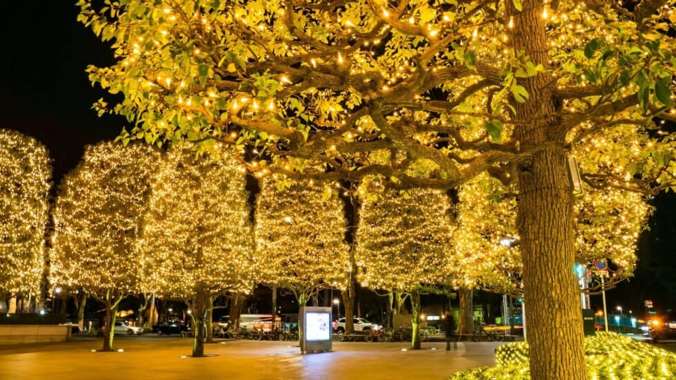 8 Illuminations in Tokyo & around Tokyo to visit in 2021