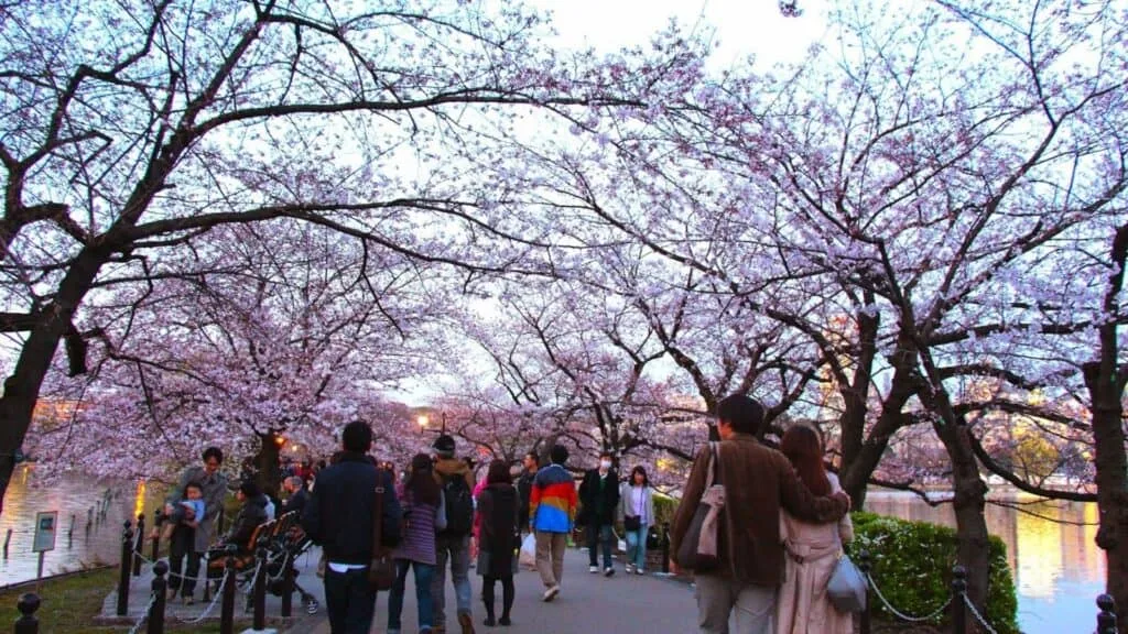 11 best cherry blossom spots Ueno Onshi Park