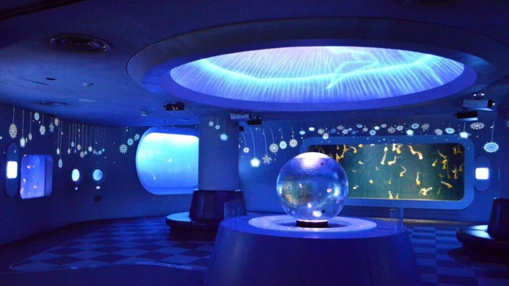 25 Best Romantic Date Spots Enoshima Aquarium