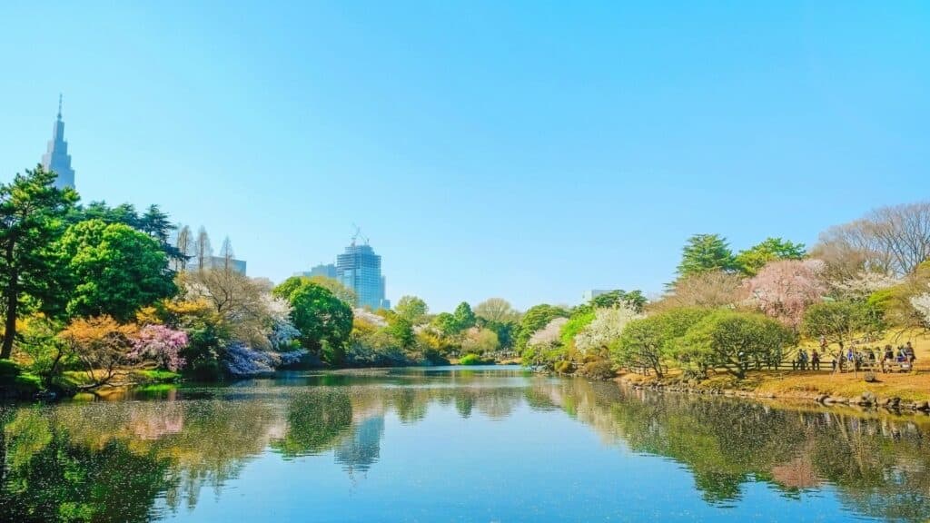 25 Best Romantic Date Spots Shinjuku Gyoen National Garden