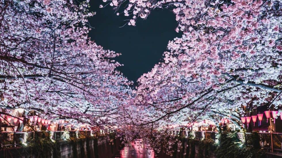 25 Ideas For A Romantic Spring Date In Tokyo: Best Spots For Spring Romance