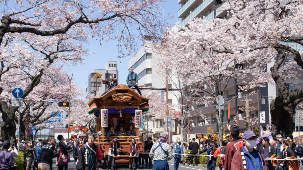 30 cherry blossom viewing events 56th Hitachi Sakura Festival