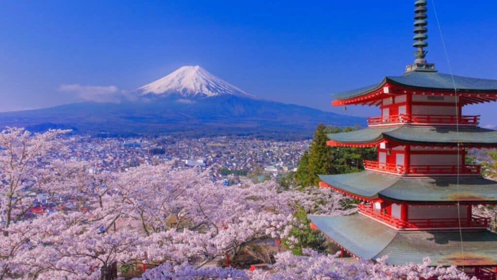 30 cherry blossom viewing events Arakurayama Sengen Park Cherry Blossom Festival