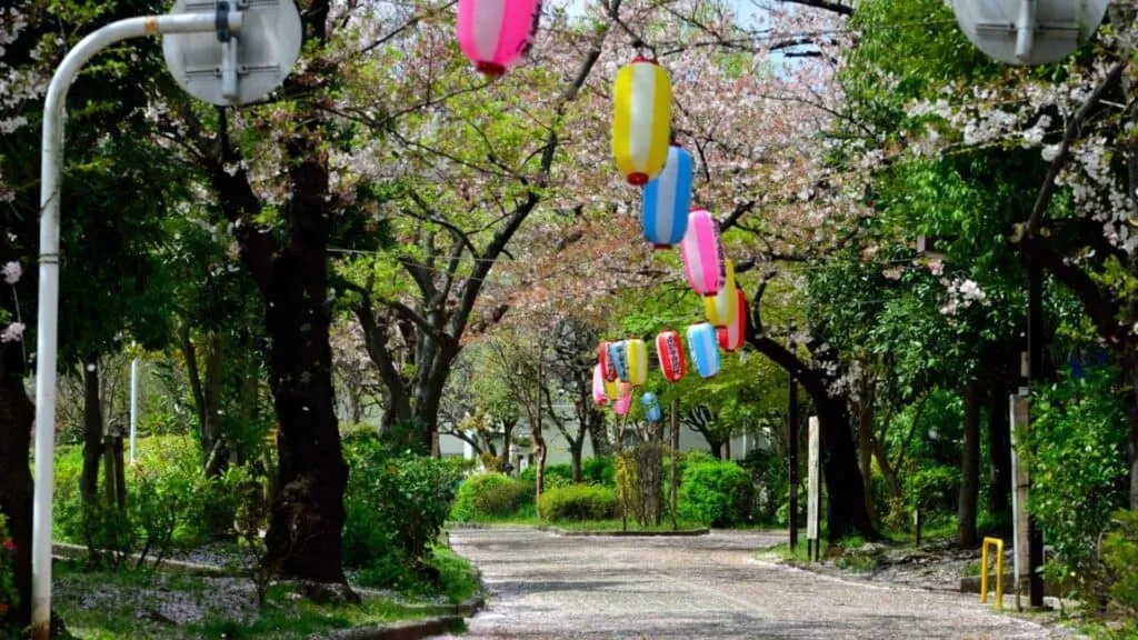 43 beautiful cherry blossom spots Minamisuna Ryokudo Park