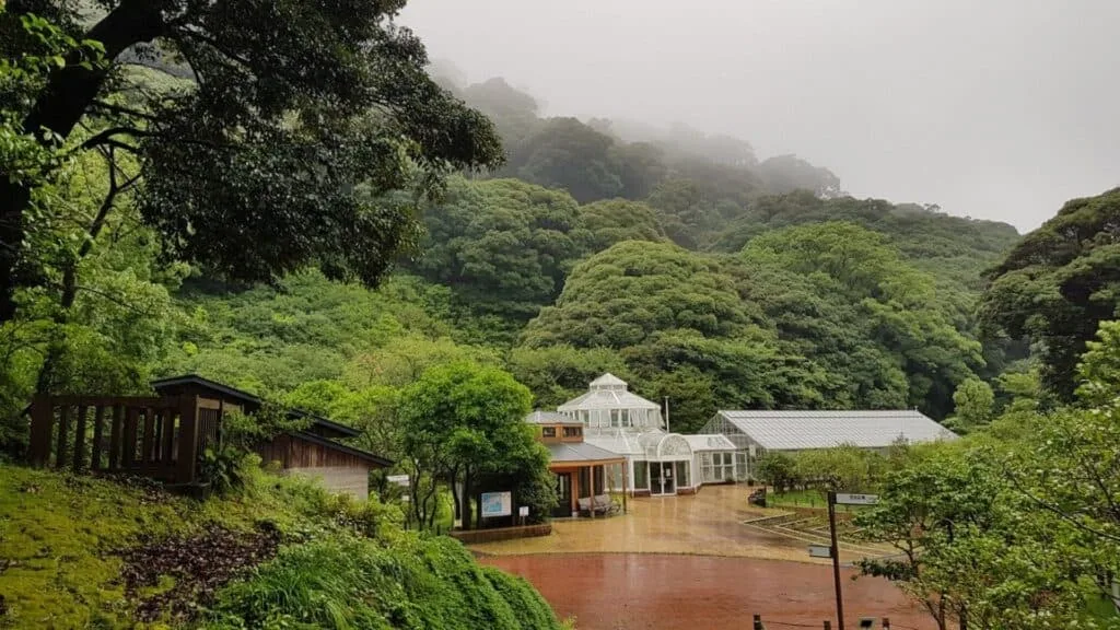43 beautiful cherry blossom spots Oshima Park