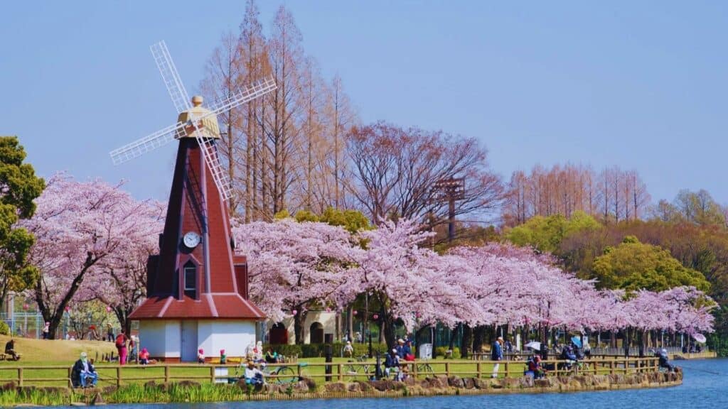 43 beautiful cherry blossom spots Ukima Park