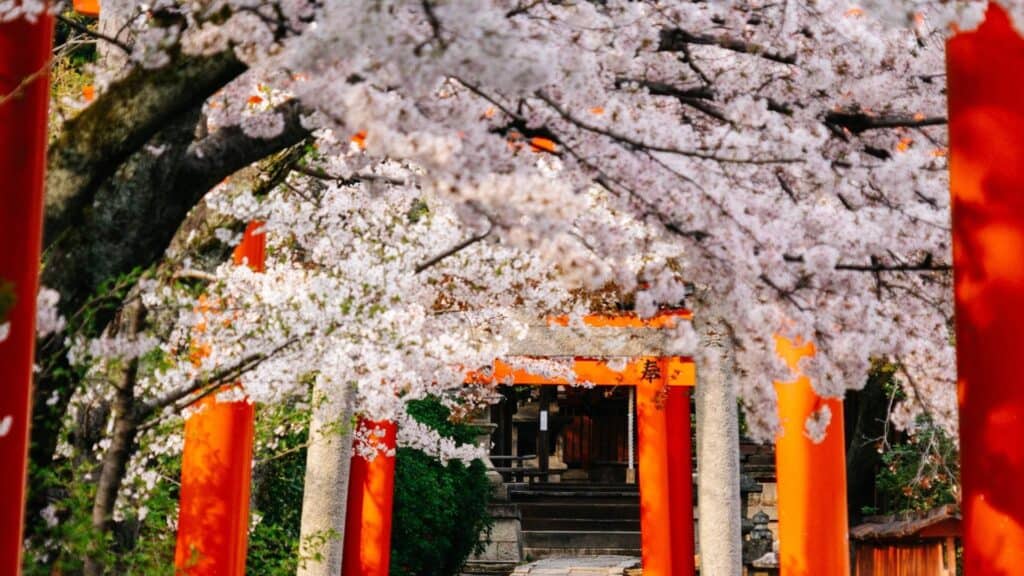 43 best hanami spots 43 best hanami spots