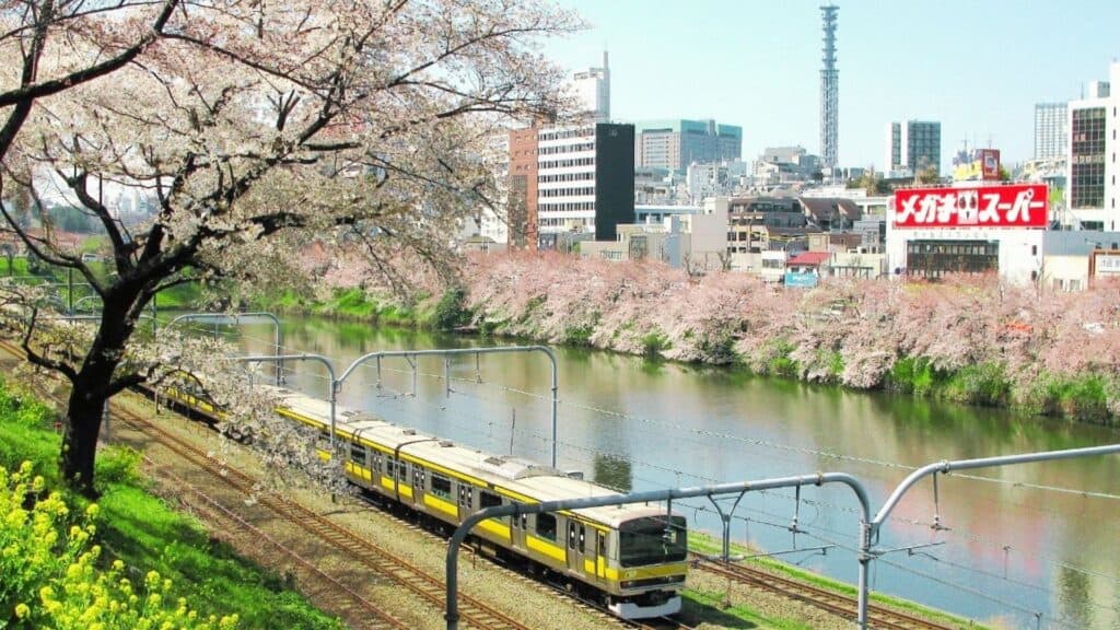 7 Best Hidden Cherry Blossom Spots in Tokyo 2022 & Avoid the crowd Sotobori Park