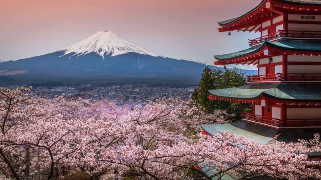 Best time to see cherry blossom season Yamanashi _ Arakurayama Sengen Park