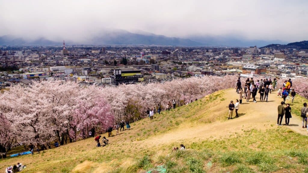 Cherry blossom Hikes Koboyama Park