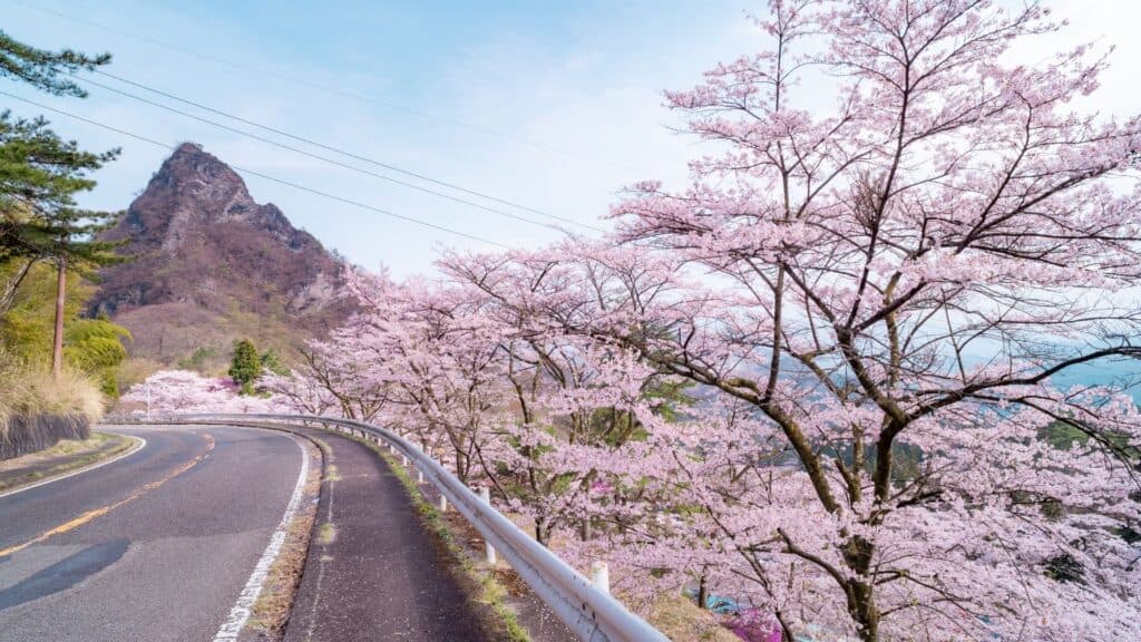 Cherry blossom Hikes Mount Myogi