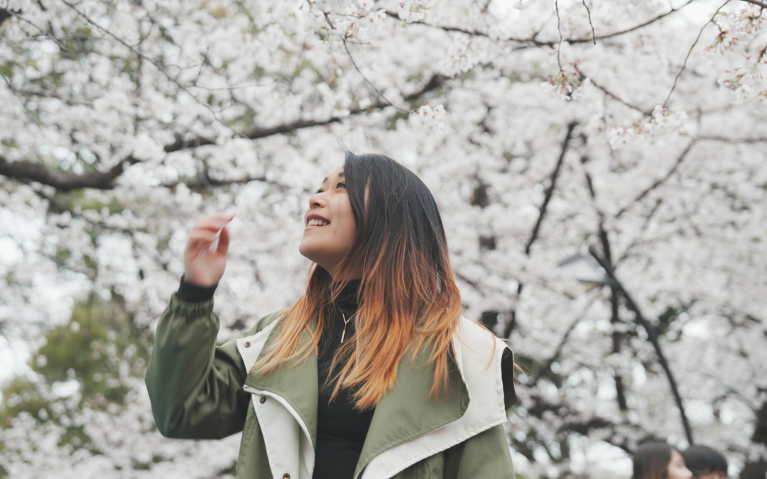 Where to See Cherry Blossoms in Tokyo This 2026 40+ Breathtaking Hanami Spots  🌸