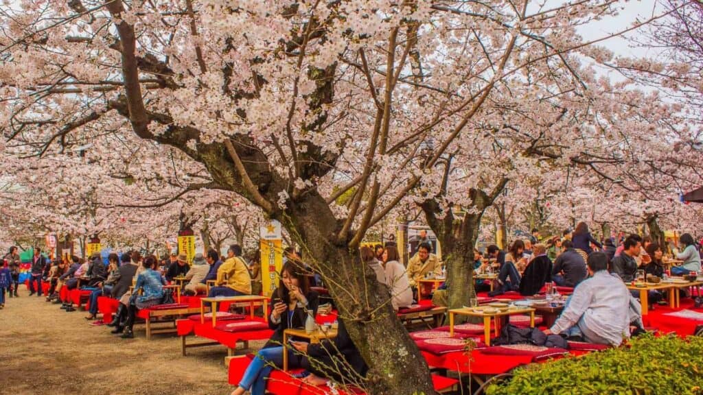 What to do in spring in Japan Go barbeque