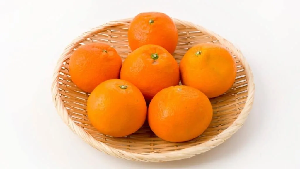 What to eat in spring in Japan Iyokan
