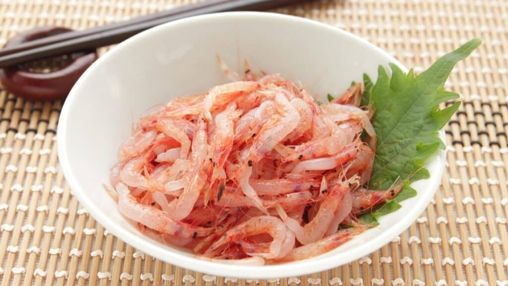 What to eat in spring in Japan Sakura shrimp