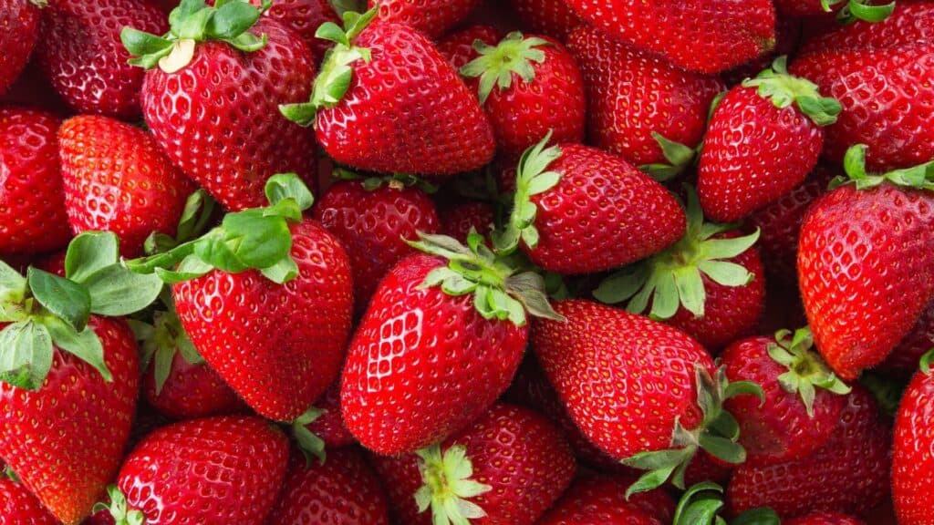 What to eat in spring in Japan Strawberry