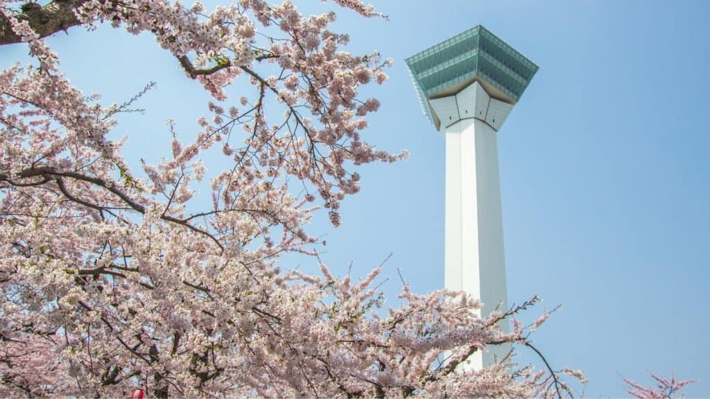 Where to go in spring in Japan Goryokaku Tower [Hokkaido]