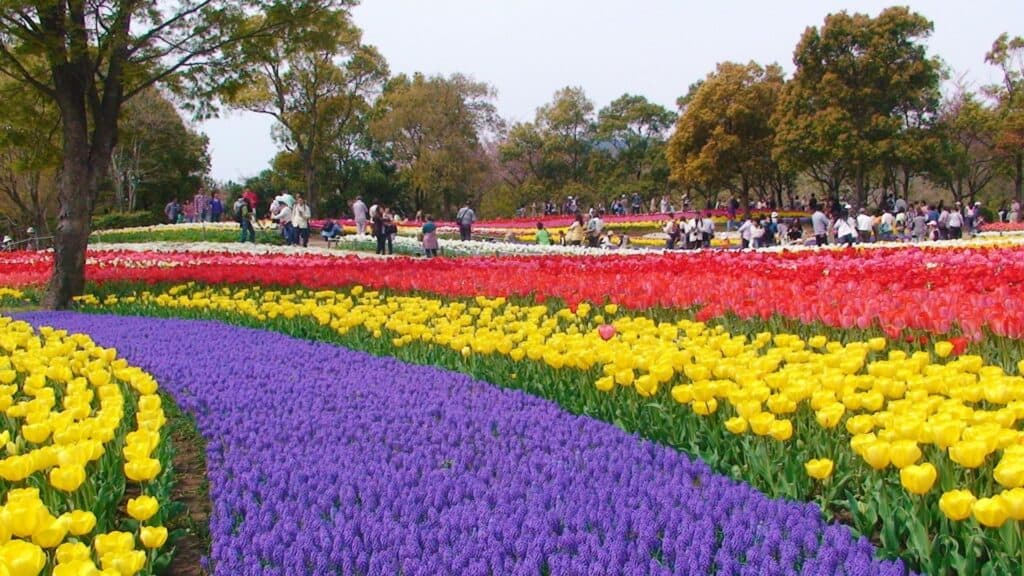 Where to go in spring in Japan Kiso Sansen Park [Gifu Prefecture]