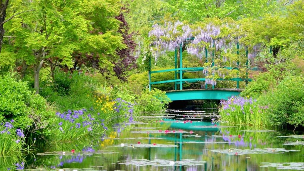 Where to go in spring in Japan Kitagawa Village _Monet's Garden_ Marmottan [Kochi Prefecture]