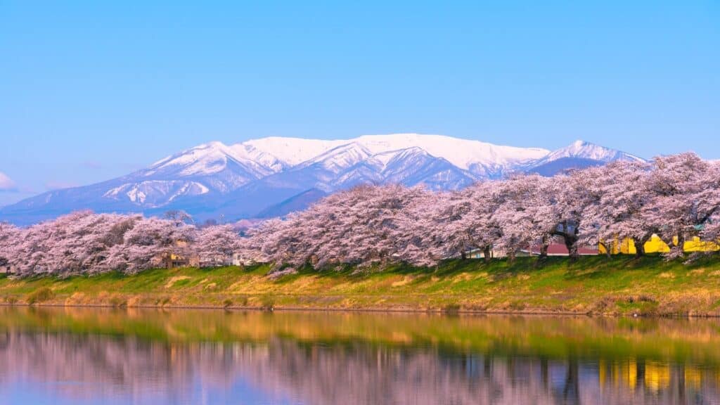 Where to go in spring in Japan Shiroishi River [Miyagi Prefecture]