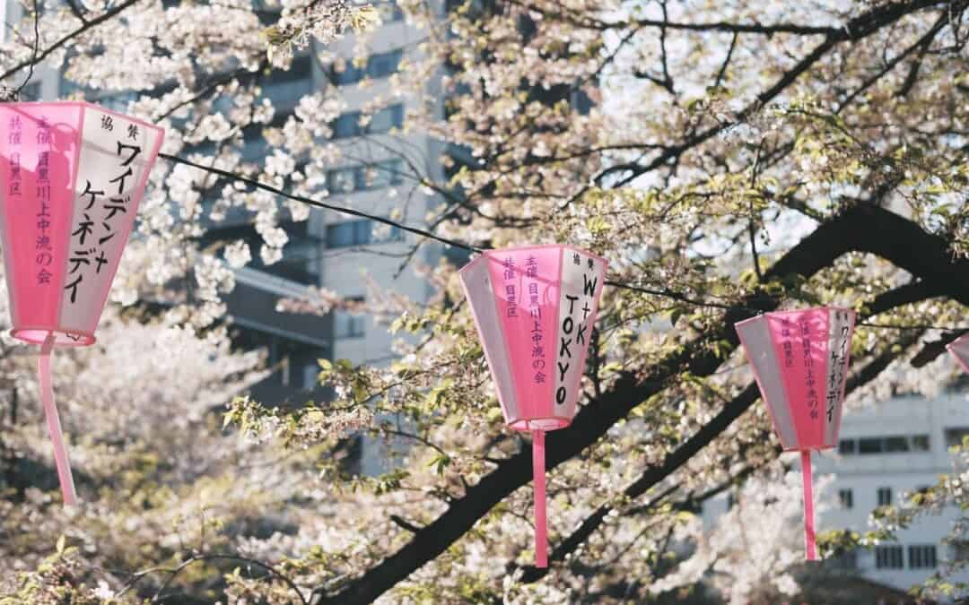 FLIP Japan Games: Explore Japan with Interactive Bot Adventures – No Downloads Needed!