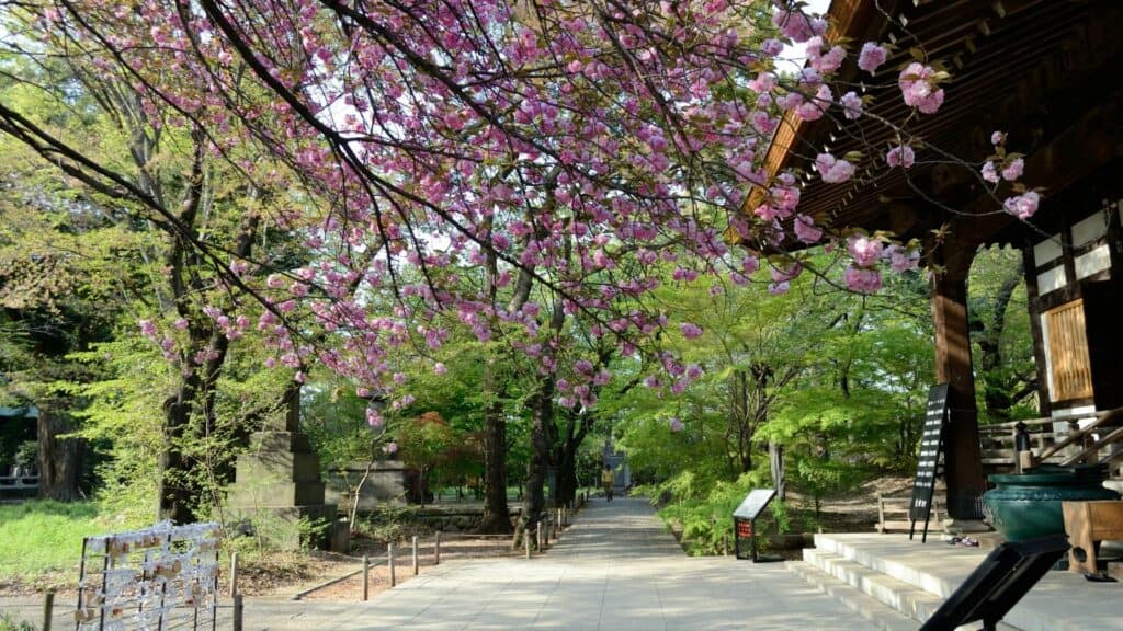 Jiyugaoka Travel Jōshinji Temple