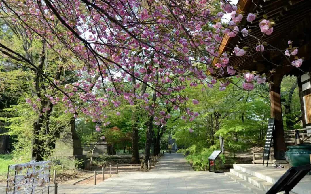 Jiyugaoka Travel Jōshinji Temple