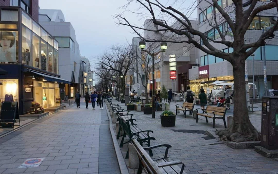 Jiyugaoka Travel Kuhonbutsu River Green Way