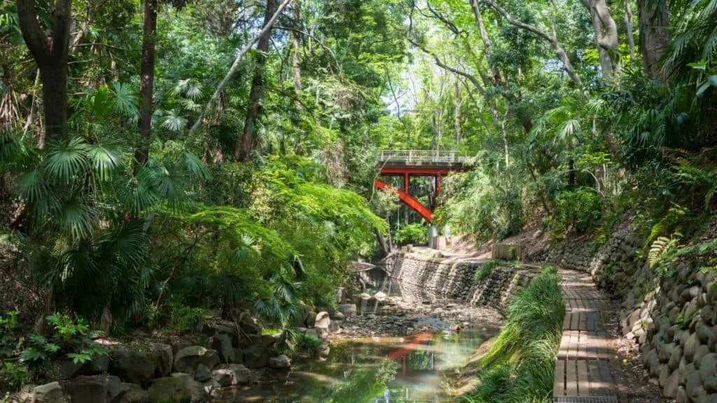 Jiyugaoka Travel Todoroki Ravine Park