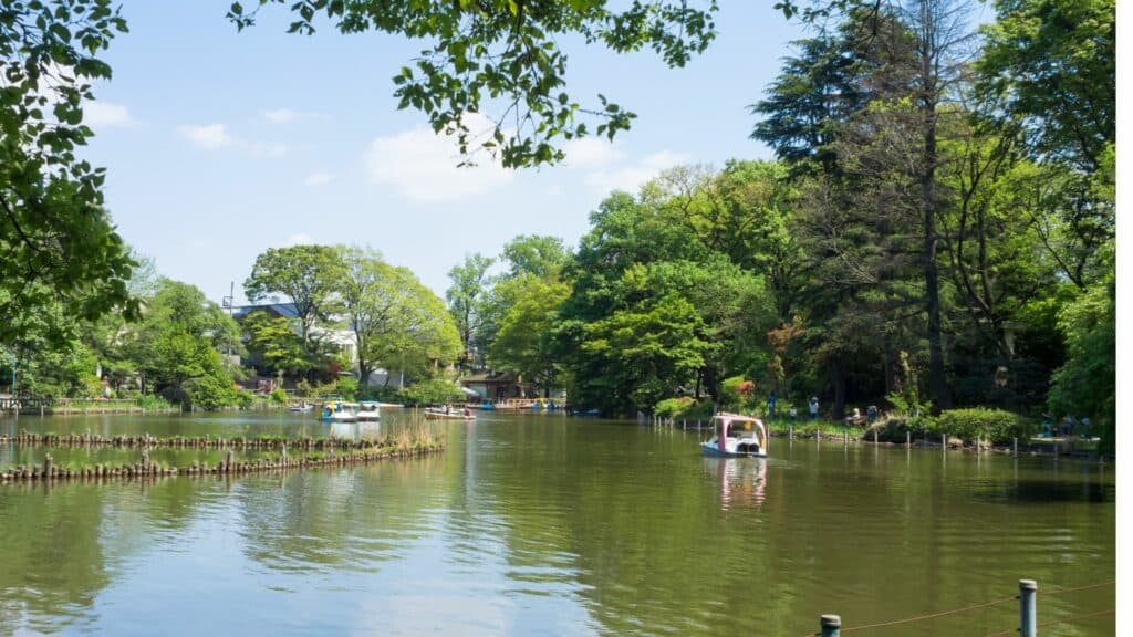 Nishiogikubo Travel Zenpukuji Park