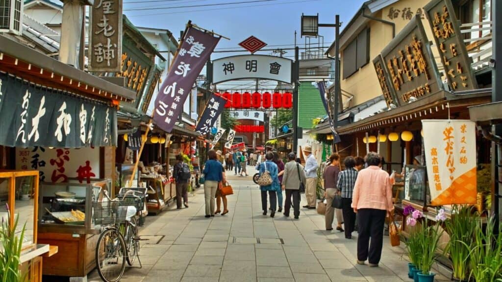 Shibamata Travel Taishakuten Sando