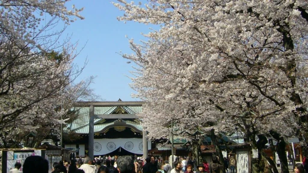 Where-to-see-cherry-blossom-in-Tokyo-Yasukuni-Park